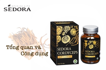 Tổng quan về viên uống đông trùng hạ thảo SEDORA CORDYCEPS 